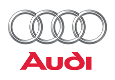 Audi with Bada Business