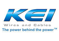 Krishna Electrical Industries with Bada Business